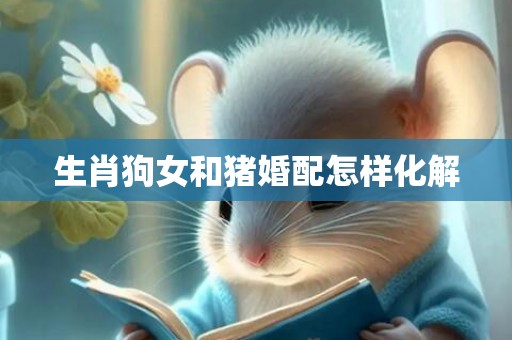 生肖狗女和猪婚配怎样化解