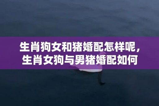 生肖狗女和猪婚配怎样呢，生肖女狗与男猪婚配如何
