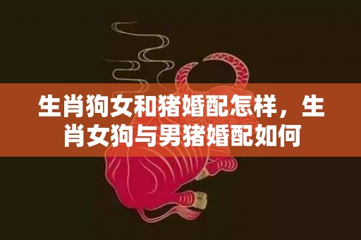 生肖狗女和猪婚配怎样，生肖女狗与男猪婚配如何