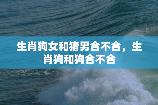 生肖狗女和猪男合不合，生肖狗和狗合不合