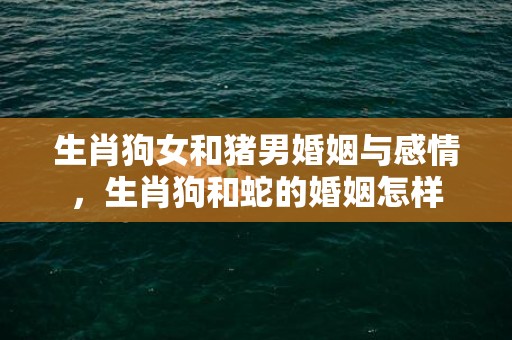 生肖狗女和猪男婚姻与感情，生肖狗和蛇的婚姻怎样