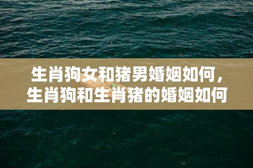 生肖狗女和猪男婚姻如何，生肖狗和生肖猪的婚姻如何