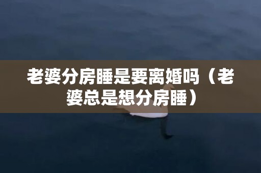 老婆分房睡是要离婚吗（老婆总是想分房睡）