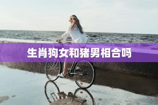 生肖狗女和猪男相合吗
