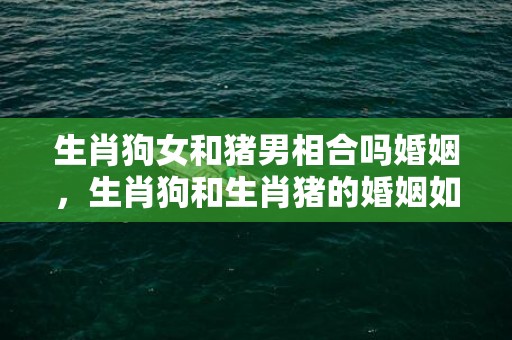 生肖狗女和猪男相合吗婚姻，生肖狗和生肖猪的婚姻如何