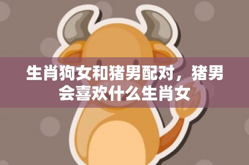 生肖狗女和猪男配对，猪男会喜欢什么生肖女