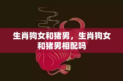 生肖狗女和猪男，生肖狗女和猪男相配吗