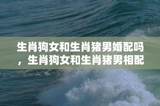 生肖狗女和生肖猪男婚配吗，生肖狗女和生肖猪男相配吗