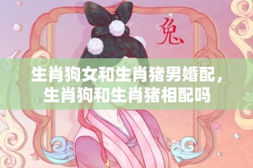 生肖狗女和生肖猪男婚配，生肖狗和生肖猪相配吗