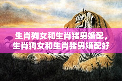 生肖狗女和生肖猪男婚配，生肖狗女和生肖猪男婚配好吗