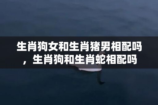 生肖狗女和生肖猪男相配吗，生肖狗和生肖蛇相配吗