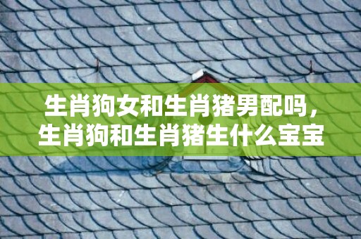 生肖狗女和生肖猪男配吗，生肖狗和生肖猪生什么宝宝