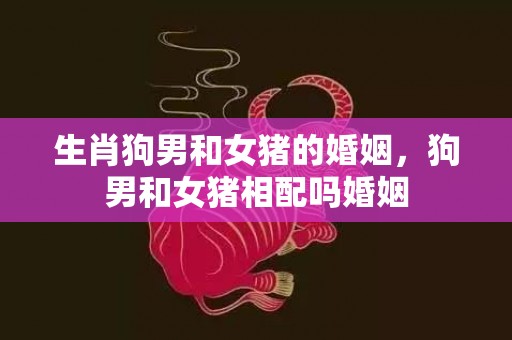 生肖狗男和女猪的婚姻，狗男和女猪相配吗婚姻