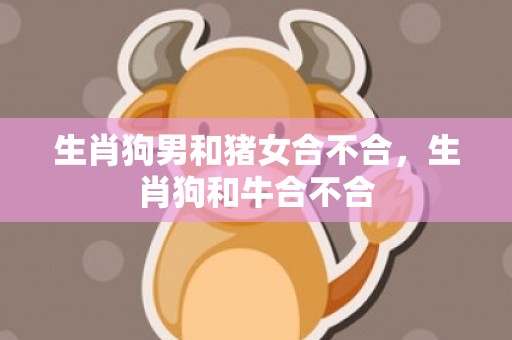 生肖狗男和猪女合不合，生肖狗和牛合不合