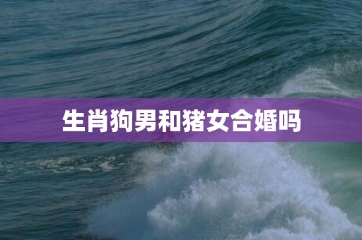 生肖狗男和猪女合婚吗