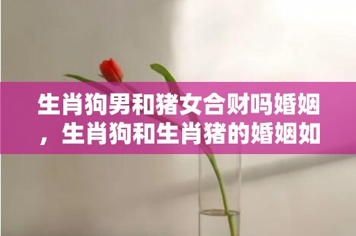 生肖狗男和猪女合财吗婚姻，生肖狗和生肖猪的婚姻如何