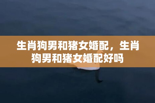 生肖狗男和猪女婚配，生肖狗男和猪女婚配好吗