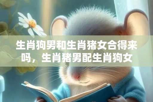 生肖狗男和生肖猪女合得来吗，生肖猪男配生肖狗女