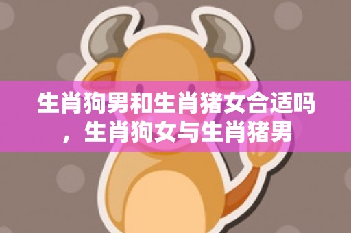 生肖狗男和生肖猪女合适吗，生肖狗女与生肖猪男