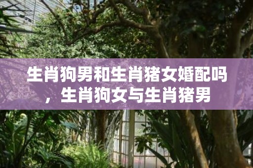 生肖狗男和生肖猪女婚配吗，生肖狗女与生肖猪男