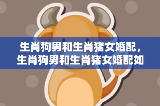 生肖狗男和生肖猪女婚配，生肖狗男和生肖猪女婚配如何呢