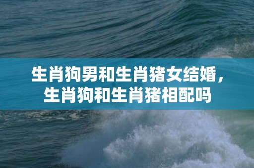 生肖狗男和生肖猪女结婚，生肖狗和生肖猪相配吗