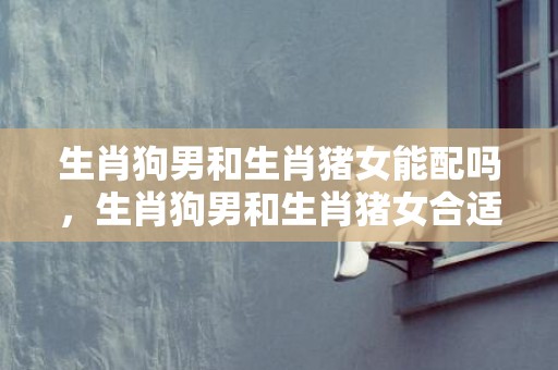 生肖狗男和生肖猪女能配吗，生肖狗男和生肖猪女合适吗