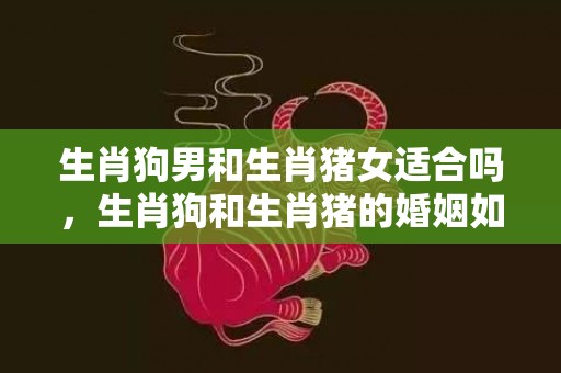 生肖狗男和生肖猪女适合吗，生肖狗和生肖猪的婚姻如何