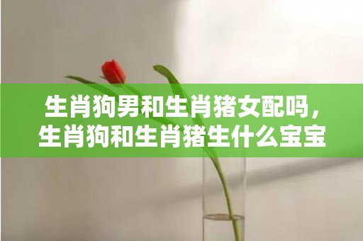 生肖狗男和生肖猪女配吗，生肖狗和生肖猪生什么宝宝