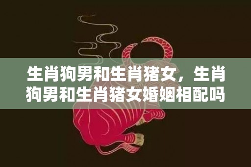 生肖狗男和生肖猪女，生肖狗男和生肖猪女婚姻相配吗