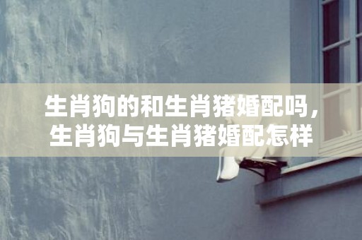 生肖狗的和生肖猪婚配吗，生肖狗与生肖猪婚配怎样