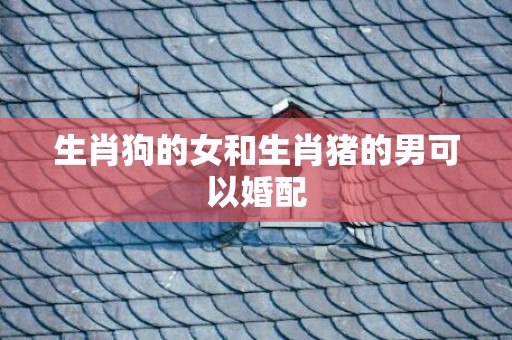 生肖狗的女和生肖猪的男可以婚配
