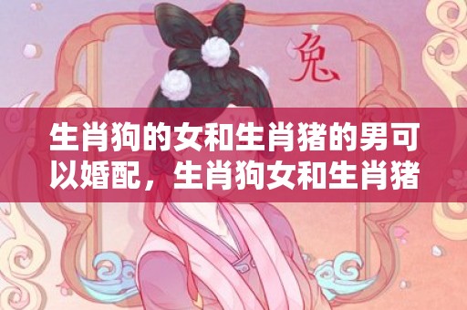 生肖狗的女和生肖猪的男可以婚配，生肖狗女和生肖猪男相配吗