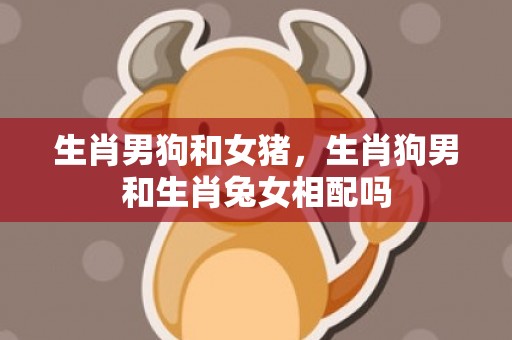 生肖男狗和女猪，生肖狗男和生肖兔女相配吗