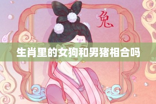 生肖里的女狗和男猪相合吗