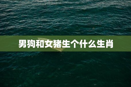 男狗和女猪生个什么生肖