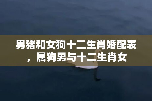男猪和女狗十二生肖婚配表，属狗男与十二生肖女