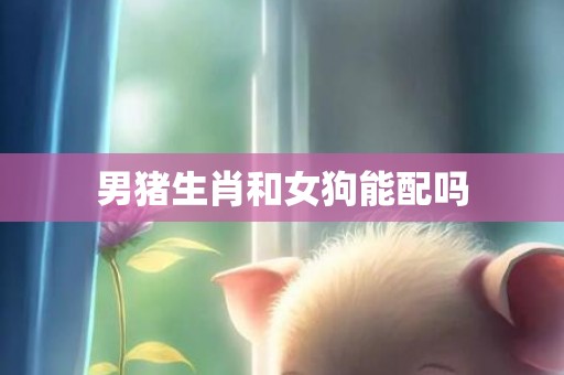 男猪生肖和女狗能配吗