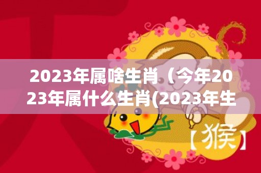 2023年属啥生肖（今年2023年属什么生肖(2023年生肖年龄对照表)）