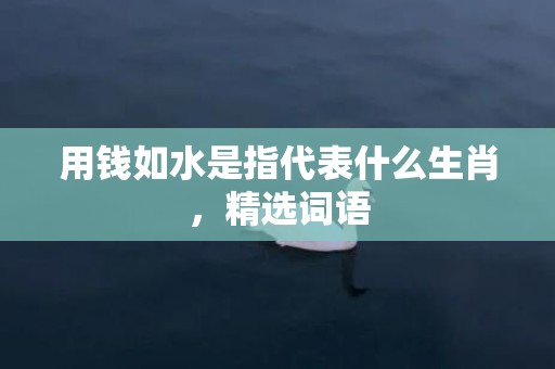 用钱如水是指代表什么生肖，精选词语
