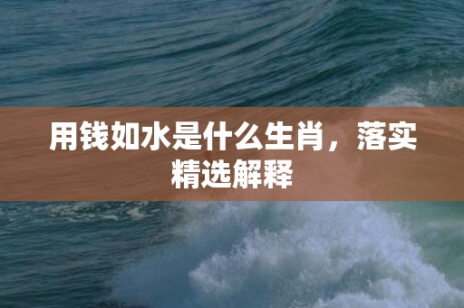用钱如水是什么生肖，落实精选解释