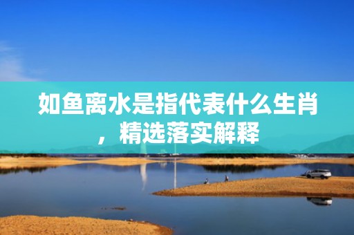 如鱼离水是指代表什么生肖，精选落实解释