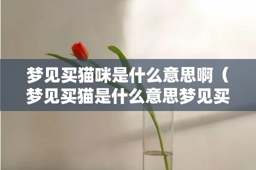 梦见买猫咪是什么意思啊（梦见买猫是什么意思梦见买猫是什么意思有什么预兆）
