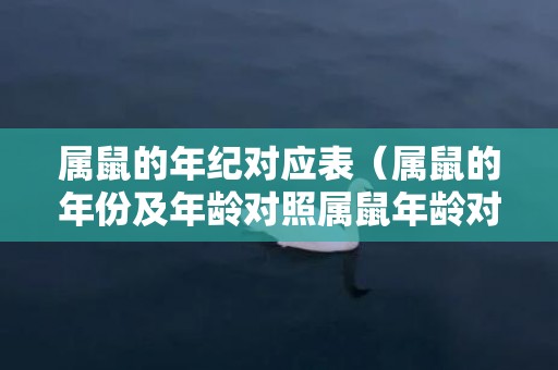 属鼠的年纪对应表（属鼠的年份及年龄对照属鼠年龄对照表）