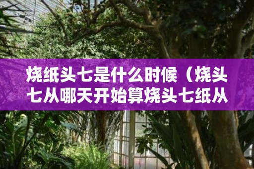 烧纸头七是什么时候（烧头七从哪天开始算烧头七纸从什么时候开始算）