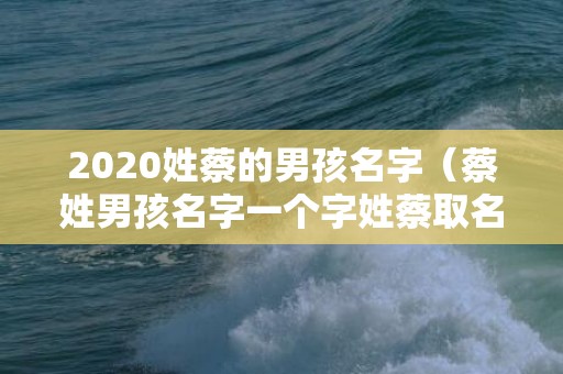 2020姓蔡的男孩名字（蔡姓男孩名字一个字姓蔡取名字男孩）