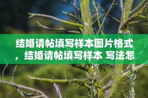 结婚请帖填写样本图片格式，结婚请帖填写样本 写法怎么写