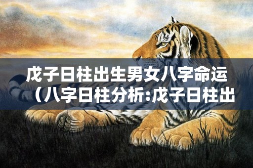 戊子日柱出生男女八字命运（八字日柱分析:戊子日柱出生的人,富贵可期!）