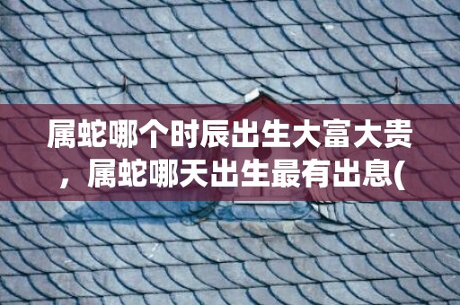 属蛇哪个时辰出生大富大贵，属蛇哪天出生最有出息(属蛇哪个时辰出生的女人最旺)