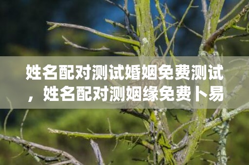 姓名配对测试婚姻免费测试，姓名配对测姻缘免费卜易居(姓名配对测试婚姻配对)